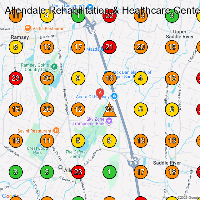 Allendale Rehabilitation & Healthcare Center Nursing Home GeoGrid ranking map for Allendale NJ